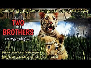 பாசக்கார புலிக்குட்டிகளின் சாகசப்பயணம்|Tamil Voice Over|Tamil Dubbed Movies Explanation|Tamil Movies