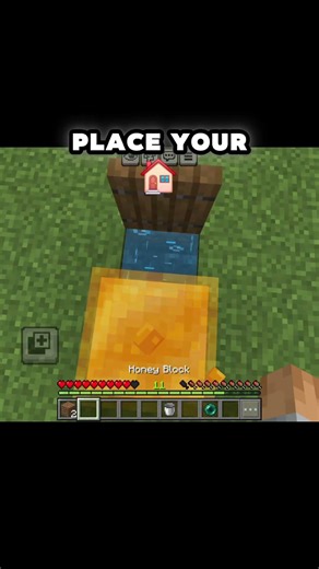 Ender Pearl Stasis Chamber in Minecraft Bedrock 1.21 #minecraft #minecraftshorts