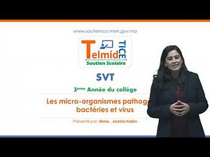 Bactéries et virus pathogènes ( Niveau 3eme Année collègial )