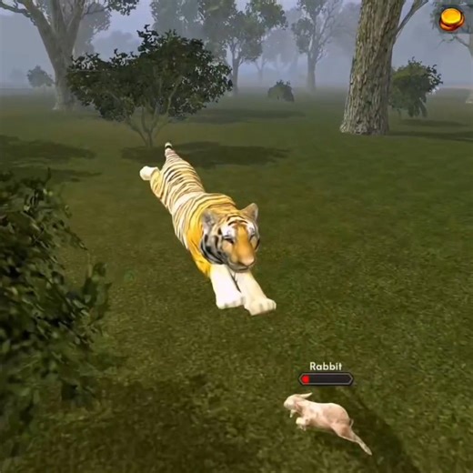 Angry Tiger 🐅 Hunted the Poor Rabbit 🐇 Without Mercy #wildlife #shorts #games