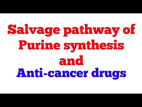 Salvage pathway of purine synthesis || #Biochemistry