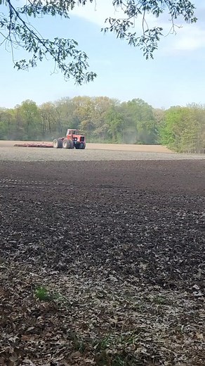 Randy (@toolman1968)’s videos with original sound - Randy