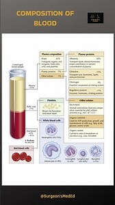 BLOOD COMPOSITION AND THEIR FUNCTIONS | #blood #components #physiology | ‪@SurgeonsMedEd‬