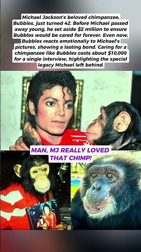 Michael Jackson’s Chimpanzee Bubbles Turns 42 with $2M Care Trust