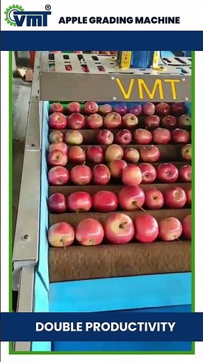 Advanced Apple Grading Machine by VMT