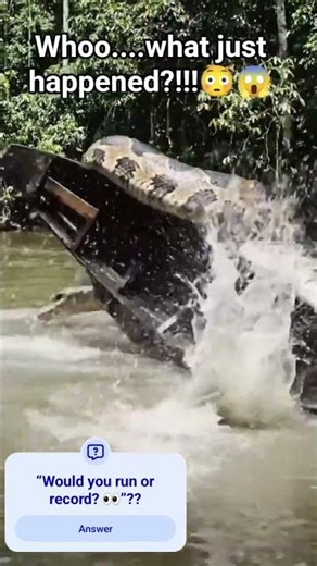 “Would you run or record? 👀”??? #facts #shorts #facts​ #mysterious​ #animals​