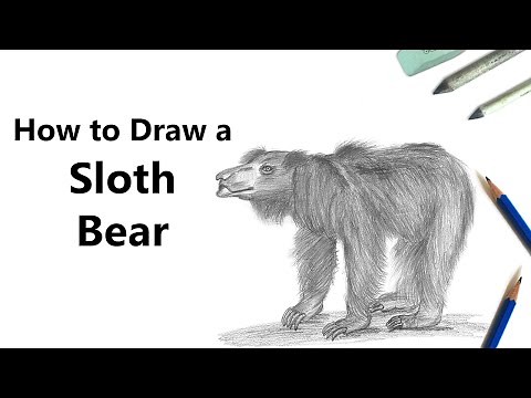How to Draw a Sloth Bear with Pencils [Time Lapse]