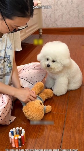 Puppy Loves His Teddy 🥺❤‍🩹