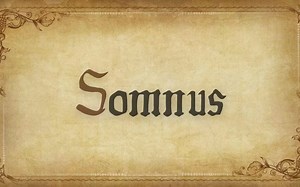 【FF15】中世纪风格的《Somnus》