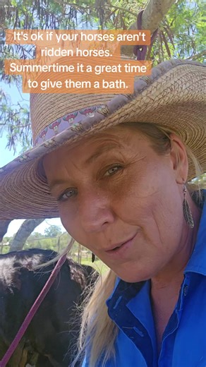 Summer bathing for all horses can be a great shared experience for you and your horses. How long since your non ridden horses have had a bath?