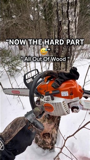 Cutting the Tree Was EASY… Getting It Home Won’t Be 🌲😅