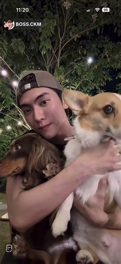 Korean Language Charm in TikTok Live Moments