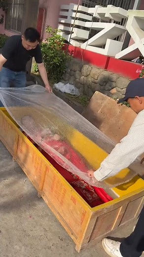 Traditional Red Garments with Gold Embroidery Unveiled