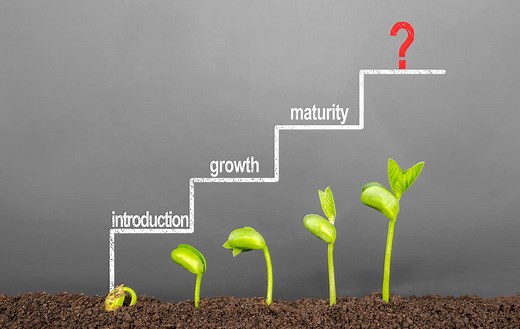 What is a Product Life Cycle? (Definition, Stages and Examples)
