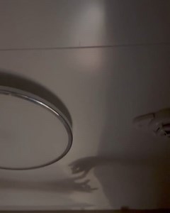 81K views · 294 reactions | Madison Beer on Reels | Facebook