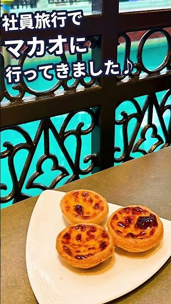マカオへ行ってきました(^^)/_2 #shorts #社員旅行 #Macao #海外旅行 #澳門 #澳門攻略