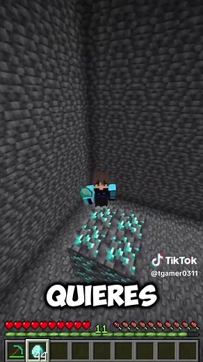 Mena de Diamante Más Grande en Minecraft