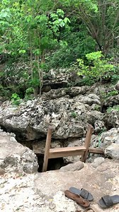 140K views · 1.5K reactions | Another adventure A spring in a hole in the ground. Brighton Westmoreland just outside Negril . . #jamaica #adventure | Jamaica Uncut | Facebook
