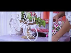 Event Management & Wedding Planner, Imphal I Salt Studio