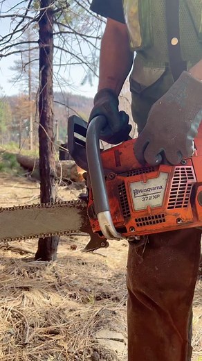 Understanding Logging Techniques: 64 Years of Expertise