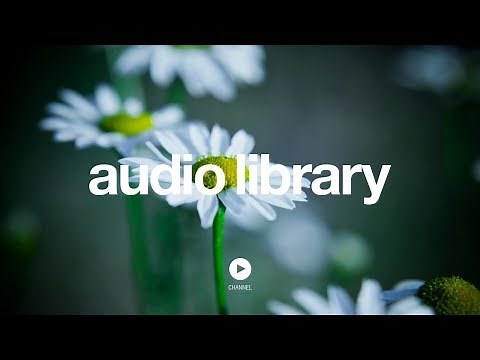 Jack in the Box – Silent Partner (No Copyright Music)