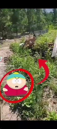 eric cartman ahh goat (Not my videos I don't own it) #cartman #meme #memepost #Southpark