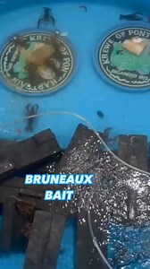 Testing our bait against cod filets and salmon filets. Our new formula is packaged in individual bait bags that last several days in the water. Instant and long-lasting attraction. Saves money compared to traditional baits (fish and Purina crawfish bait) We will be sending out samples in February…. Message us if you want to be added to the list! | Bruneaux Bait
