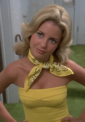 Eight Is Enough S02:E03 - Triangles