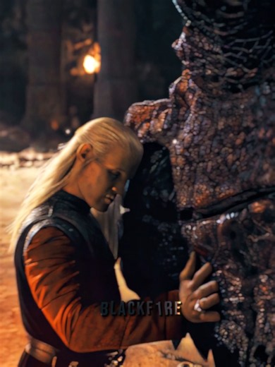 The Targaryens lost 17 dragons in the dance alone btw..| #houseofthedragon #aknightofthesevenkingdoms #dragons #duncanthetall #daeronthedrunken #daemontargaryen #rhaenyratargaryen #aegontargaryen #daerontargaryen #rhaenystargaryen #aemondtargaryen #vhagar #caraxes #syrax #sunfyre #meleys #hotd #houseofthedragonedit #fyp