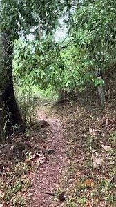 城の豆知識：要害山城の見落としやすい場所その２