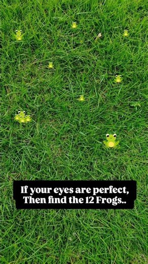 Comment if you find the frogs...#counting #eyetest #funtime #findoutgames #grass #frogs