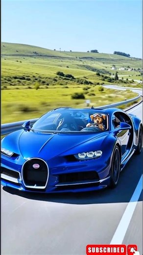 From Rusty Wheels to Bugatti Dreams 🏎️💨 #shorts #RagsToRiches #SuccessStory