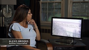 An eyewitness in England spots a group of strange sheep possibly being manipulated by extraterrestrial forces, in this clip from The Proof Is Out There. | The Unxplained Zone