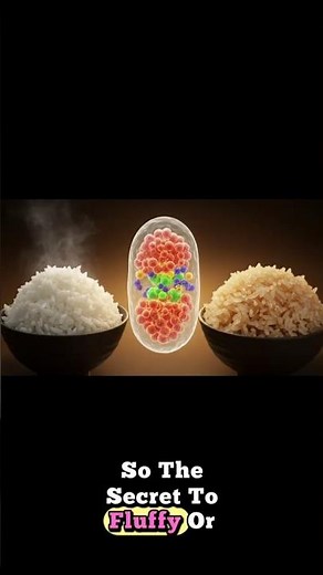 Why Some Rice Get Sticky