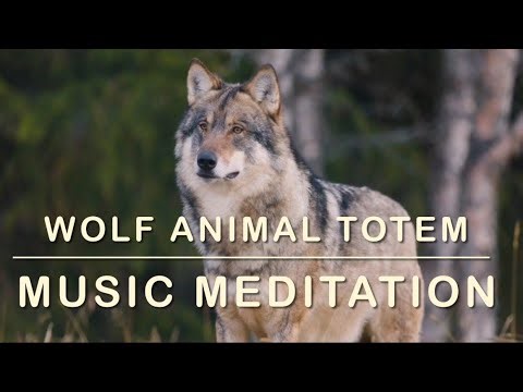 🐺 Wolf Animal Totem | Music Meditation 🧘 for Strength, Intuition & Inner Calm