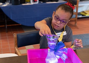 CVI: Visual attention