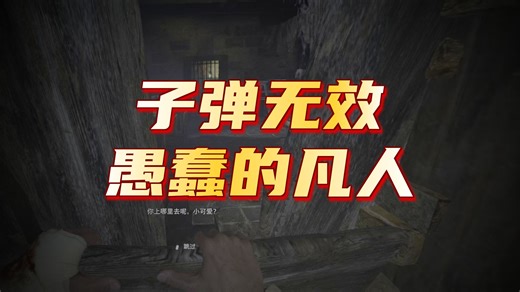 生化危机8VR模式