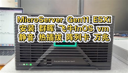 HPE MicroServer Gen11 ESXi虚拟化 安装群晖 飞牛 vm虚拟机 静音 热插拔 阵列卡 万兆光纤