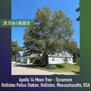 The NASA Moon Trees Quest ran from 21 June to 21 September, during which we asked people to estimate the heights of both trees planted from seeds that flew on the Apollo 14 mission and trees of the same species around the United States. For our #FridayFeature this week, here is a round up of some of the observations we received during the quest period. Remember to always follow guidelines from your local officials and only participate in GLOBE activities or use the GLOBE Observer app if it is sa