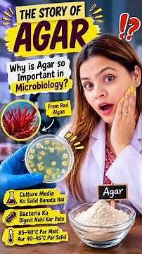 How Agar Changed Microbiology Forever! 🧫 | The Untold Story of Agar