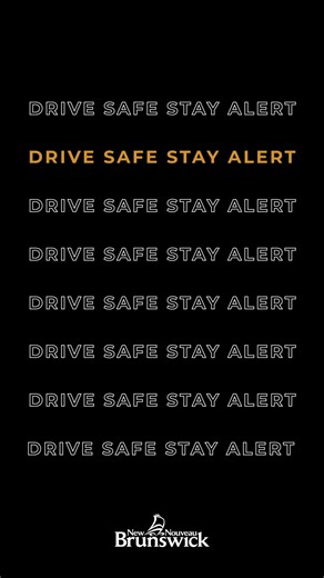 14K views · 41 reactions | Hitting the road? Be sure to check the NB Wildlife Collision Hotspot map. This map outlines roadways throughout New Brunswick that see higher moose and wildlife collisions rates. www.gnb.ca/ThinkMoose | Government of New Brunswick | Facebook