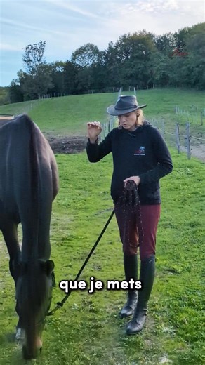 6.8K views · 120 reactions | Être à l’écoute de son cheval… mais pas de n’importe quelle manière. Savoir quand et comment répondre à sa demande, c’est ce qui fait grandir la Relation de Complicité. Avec Debra, on vous montre comment faire. Vous voulez en savoir plus ? Rendez vous dans les commentaire. #Equitation #RelationChevalCavalier #ComplicitéÉquestre #EquitationÉthologique | Alegria Relation de Complicité | Facebook