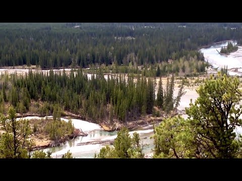 Lov na medvede 3/3, konačno ulovljen