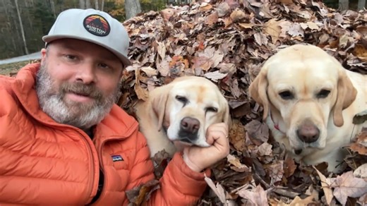 David Muir shares 2025's peak fall foliage as Americans leaf peep across the nation