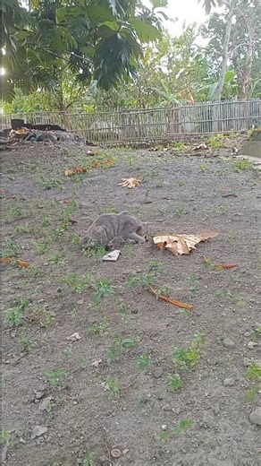 What did you get here?