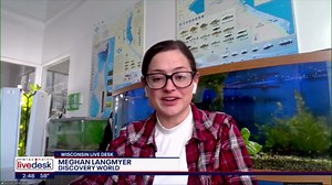 Discovery World's girls & STEM