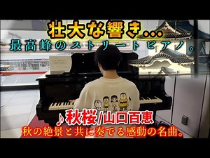【ストリートピアノ】壮大な響き...最高峰のストリートピアノで『秋桜』山口百恵弾いてみた。[明石駅streetpiano/さだまさし]
