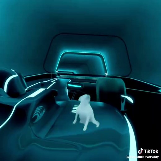 Day 141... #dogdance #dancedog #meme #dogsoftiktok #daftpunk #tron #80s #electro #house #frenchhouse #neon