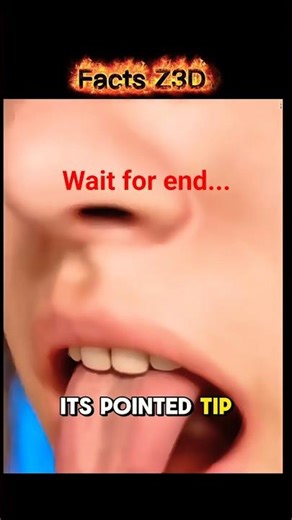 The Secret to Growing Plants Fast with Seed Bombs Revealed