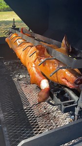 4.8M views · 78K reactions | I Bought a Pig (Bachelor Party Pig Pt. 1) | MaxTheMeatGuy | Facebook